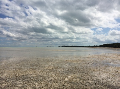 Low Tide on the Bonefish Flats